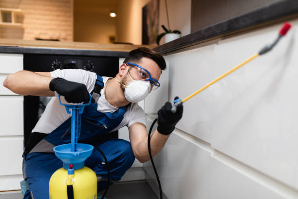 Best Residential Pest Control  in Bella Vista, AR