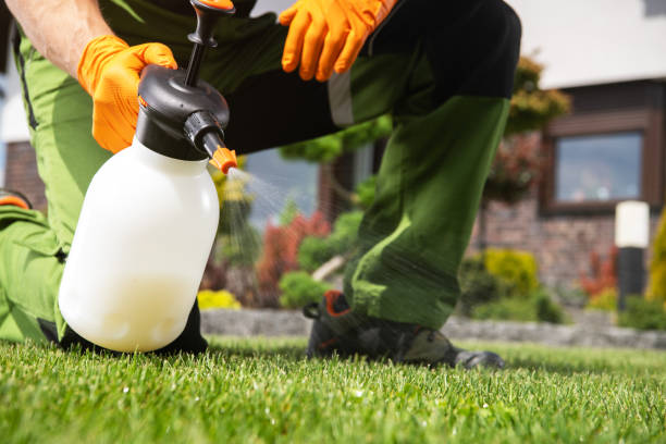 Best Exterminator Services  in Bella Vista, AR