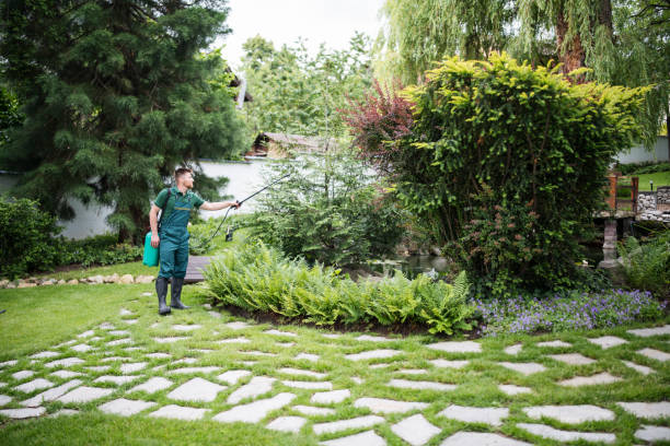 Best Mosquito Control Services  in Bella Vista, AR