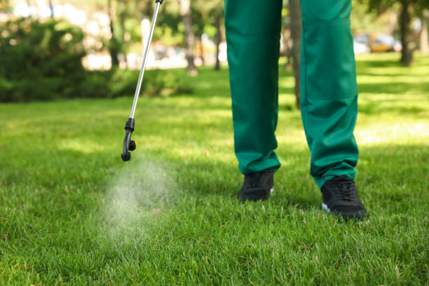 Best Best Pest Control Companies  in Bella Vista, AR