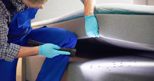 Best Pest Control Near Me  in Bella Vista, AR