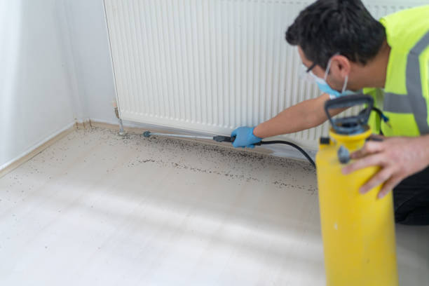 Best Pest Prevention Services  in Bella Vista, AR