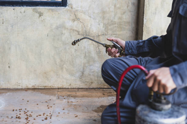 Best Cockroach Control Services  in Bella Vista, AR
