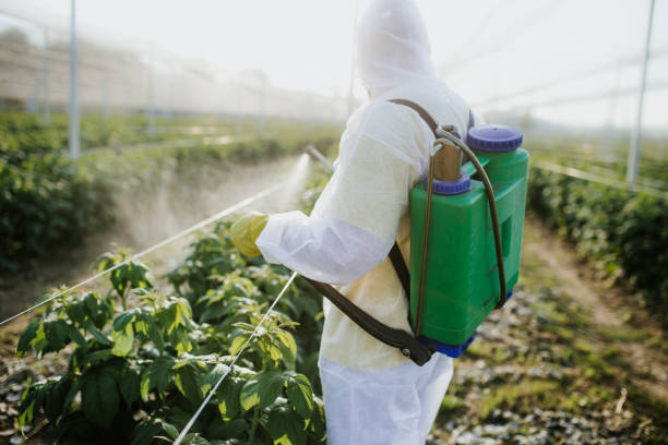 Best Insect Control  in Bella Vista, AR